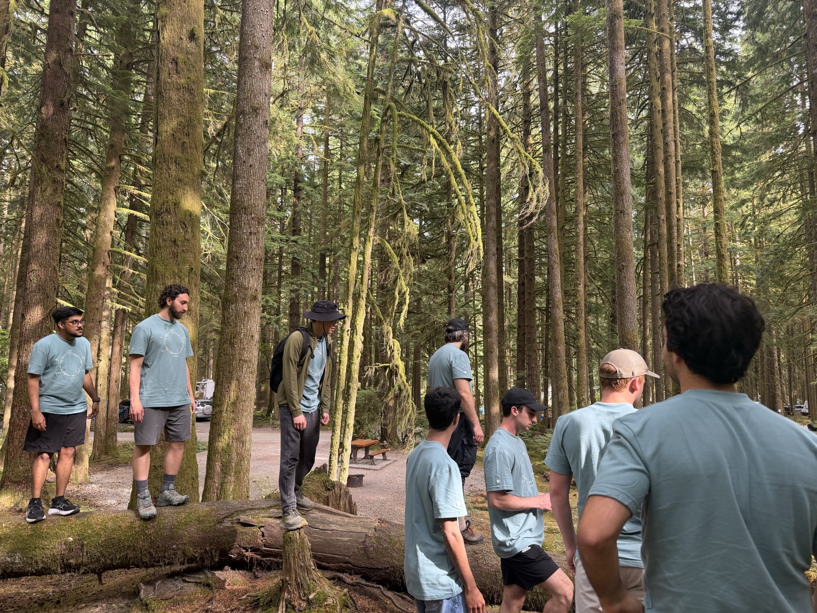 The Raindrop team walking through the forest on an offsite